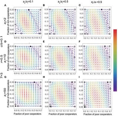 Evolution of Public Cooperation in a Risky Society with Heterogeneous Assets